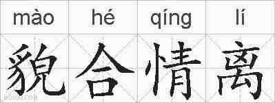 貌合情离的拼音