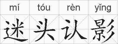 迷头认影的拼音