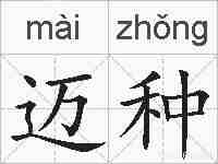 迈种的拼音
