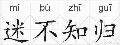 迷不知归的拼音