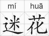 迷花的拼音