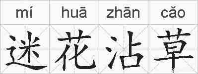 迷花沾草的拼音