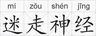 迷走神经的拼音