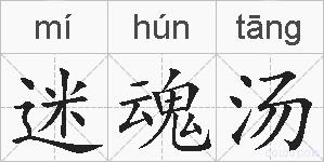 迷魂汤的拼音
