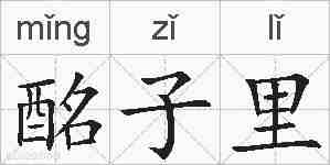 酩子里的拼音