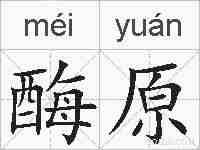 酶原的拼音