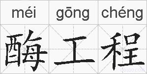 酶工程的拼音