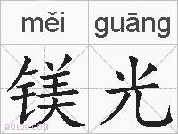 镁光的拼音