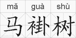 马褂树的拼音