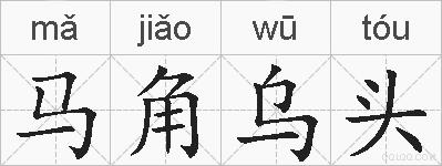 马角乌头的拼音