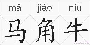 马角牛的拼音