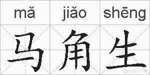 马角生的拼音