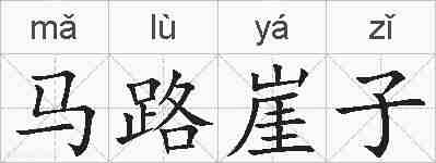 马路崖子的拼音