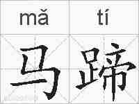 马蹄的拼音