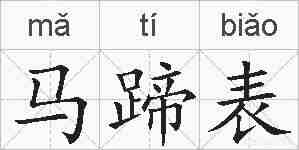 马蹄表的拼音