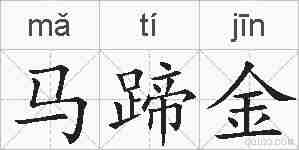 马蹄金的拼音