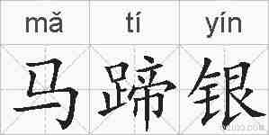 马蹄银的拼音