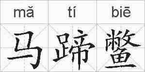 马蹄鳖的拼音