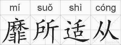 靡所适从的拼音