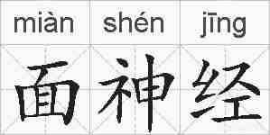 面神经的拼音