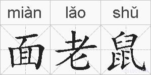 面老鼠的拼音