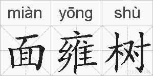 面雍树的拼音