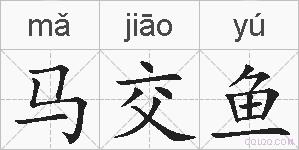 马交鱼的拼音