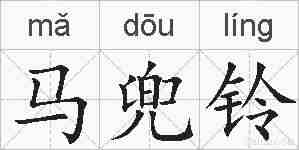 马兜铃的拼音