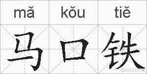 马口铁的拼音