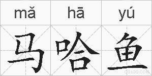 马哈鱼的拼音