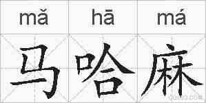 马哈麻的拼音