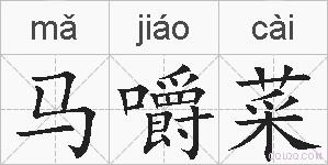 马嚼菜的拼音