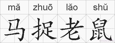马捉老鼠的拼音