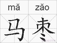 马枣的拼音
