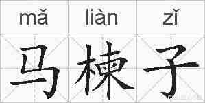 马楝子的拼音