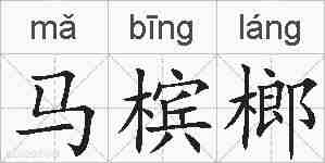 马槟榔的拼音