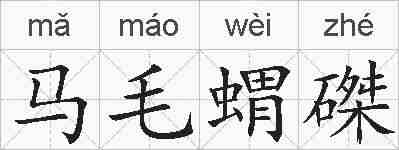 马毛蝟磔的拼音