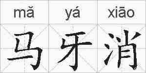 马牙消的拼音