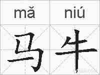 马牛的拼音