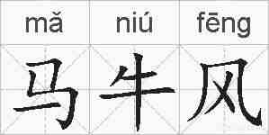马牛风的拼音
