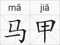 马甲的拼音