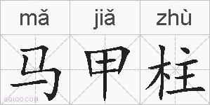 马甲柱的拼音