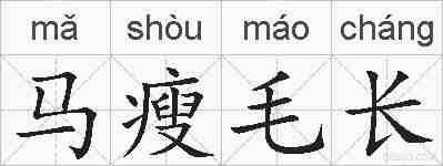 马瘦毛长的拼音