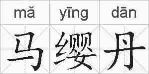 马缨丹的拼音