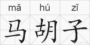 马胡子的拼音