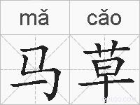 马草的拼音