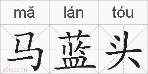 马蓝头的拼音