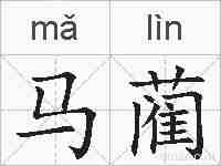 马蔺的拼音