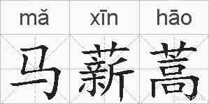 马薪蒿的拼音