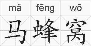 马蜂窝的拼音